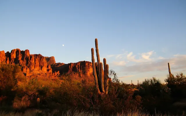 North Phoenix